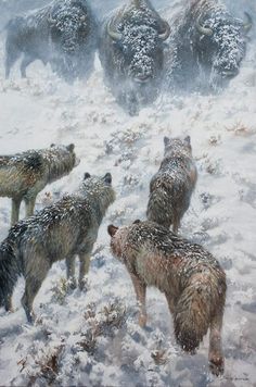 a painting of bison in the snow with other animals behind them, looking at each other