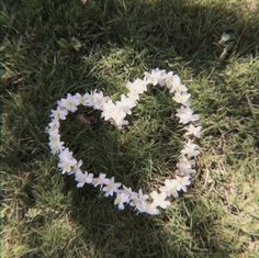 white flowers arranged in the shape of a heart on green grass with sunlight coming through