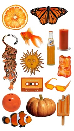 an assortment of items that include oranges, sunglasses, and other things to eat