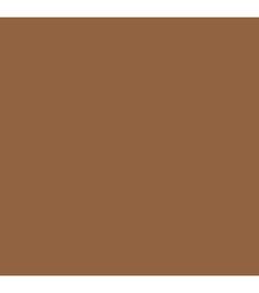 an image of a brown color that looks like it is in the middle of a painting