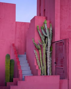 a cactus is growing out of the side of a pink building with stairs leading up to it