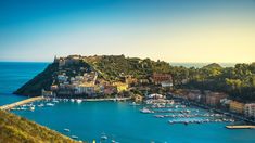 boats are docked in the blue water next to a small town on a hill side