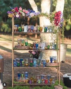 a shelf filled with lots of glasses next to a tree