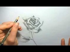 someone is drawing a rose with pencils