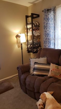 a dog laying on the floor next to a couch in a living room with blue and white curtains