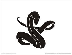 a black and white image of a snake