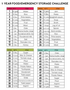 1 Year Food Storage Challenge - get on top of things in case of an emergency with this printable challenge! Emergency Storage, Survival Food Storage, Food Dog