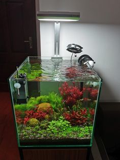 a fish tank filled with water and plants on top of a wooden table next to a lamp