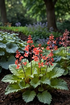 red and green flowers in the middle of a garden