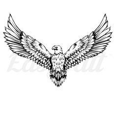 an eagle flying with its wings spread out to the side, in black and white