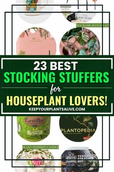 the top 25 best stocking stuff for houseplant lover's in their home