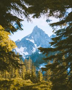 the mountain is surrounded by pine trees and tall mountains are in the distance with snow on them