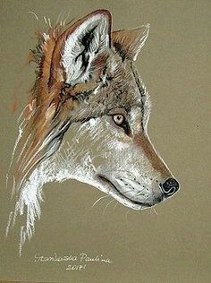 a drawing of a wolf's head is shown