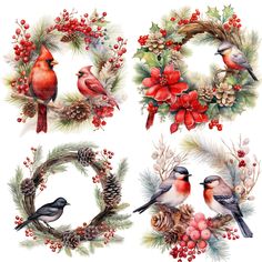 watercolor christmas wreaths with birds and pine cones on the top one is red