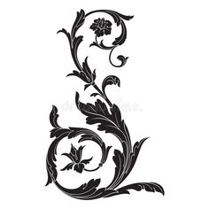 black and white floral ornament on a white background stock photo - image 3497