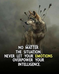 a wolf standing on top of a pile of sticks with the caption no matter the situation, never let your emotions overflower your