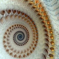 an image of a spiral design made with gold and silver