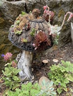 a mushroom with plants growing out of it sitting in the grass next to rocks and flowers