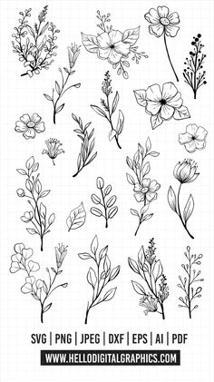 various flowers and leaves drawn in black ink on a white sheet with the words svp p