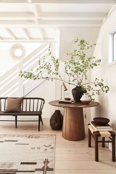 a living room filled with furniture and a plant on top of a wooden coffee table