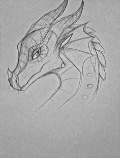 a pencil drawing of a dragon head