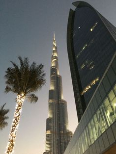 the burj building is lit up at night with palm trees in foreground