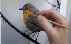 a hand is holding a pencil and drawing a bird