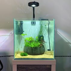 a fish tank with plants in it sitting on top of a table