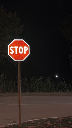 a red stop sign sitting on the side of a road next to a forest at night