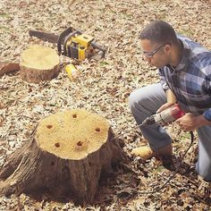 a man using a power drill to cut down a tree stump