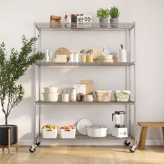 a metal shelving unit with various items on it and a potted plant in the corner