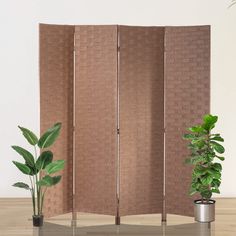 a room divider with a potted plant next to it