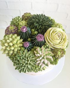 an arrangement of succulents and other plants in a white bowl on a table