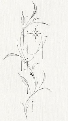 a black and white drawing of a flower with stars in the middle, on a sheet of paper