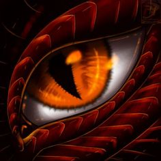 an orange and black dragon's eye is shown