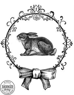 a black and white drawing of a rabbit with a bow around it's neck