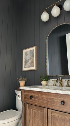 a white toilet sitting next to a bathroom sink under a mirror on top of a wooden cabinet