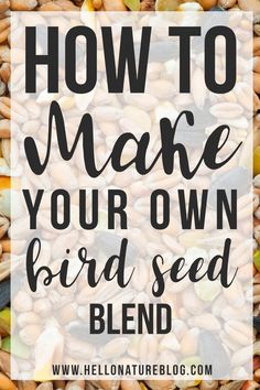 seeds with the words how to make your own bird seed blend