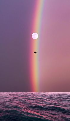 a bird flying over the ocean under a rainbow