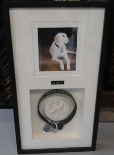 a dog's paw is displayed in a shadow box