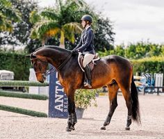 a woman riding on the back of a brown horse in an outdoor arena with palm trees