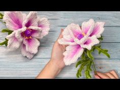 two pink flowers are being held by someone's hand on a blue wooden surface