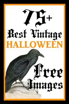 a black bird sitting on top of a rock with the words 75 best vintage halloween free images