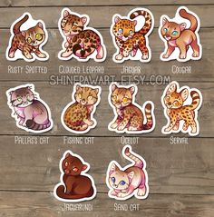 stickers with different types of cats and kittens on wooden background, including one cat's head