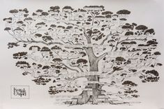 a drawing of a tree with lots of branches and leaves on it's sides