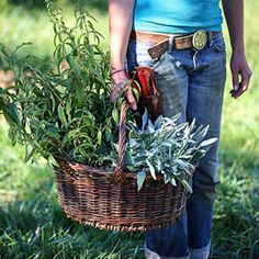 a woman holding a basket full of plants in the grass with one hand on her hip