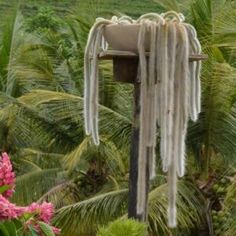 a wind chime hanging from the side of a palm tree with pink flowers in the foreground