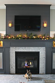 a dog is sitting in front of a fireplace