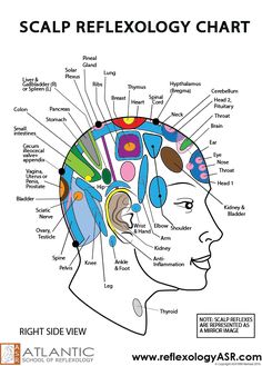 Human Body Pressure Points, Scalp Pressure Points, Facial Reflexology Chart, Face Reflexology Chart