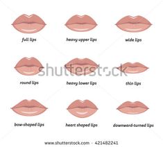 Oval Lips, Types Of Lips, Heart Shaped Lips, Shape Chart, Botox Fillers, Types Of Eyes, Braut Make-up